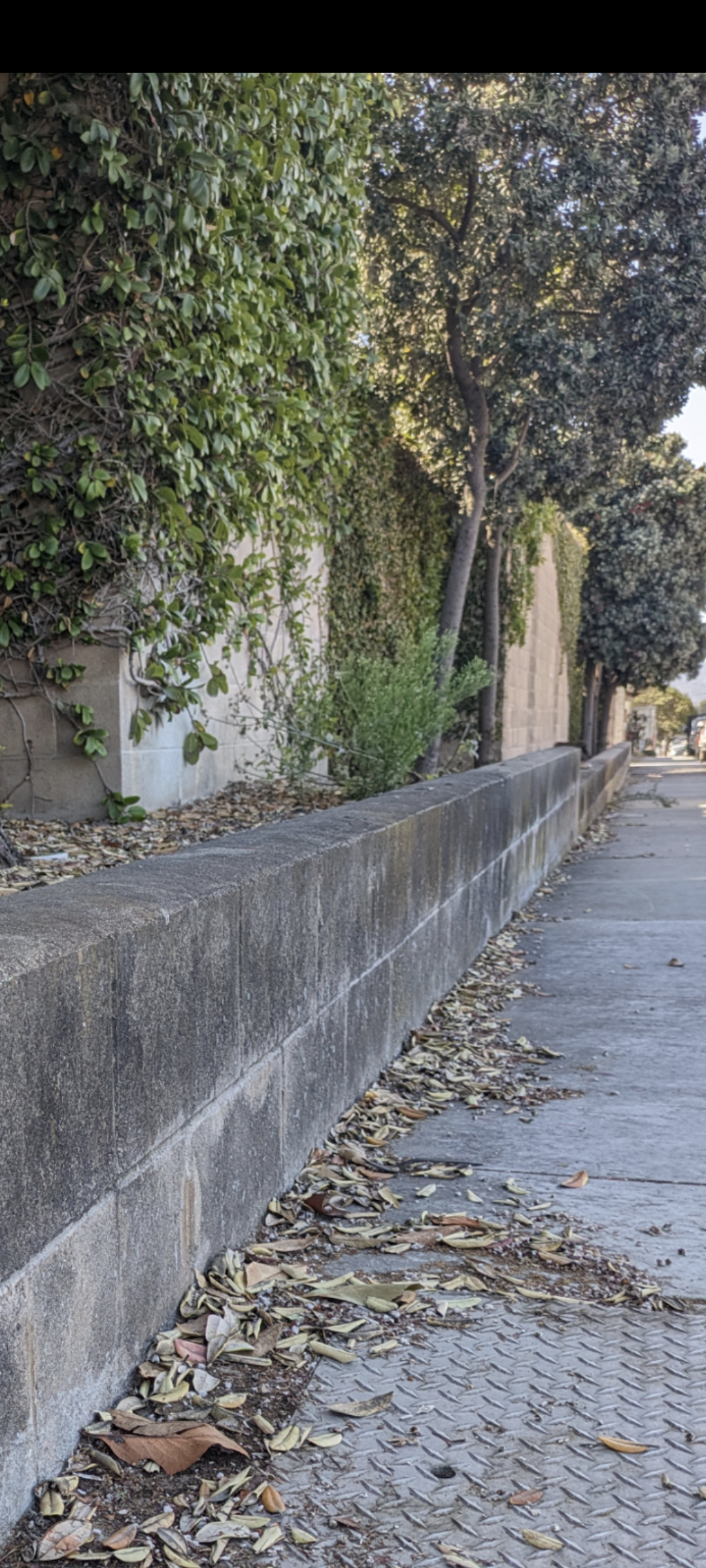 Block wall cleaning In Sand City CA 