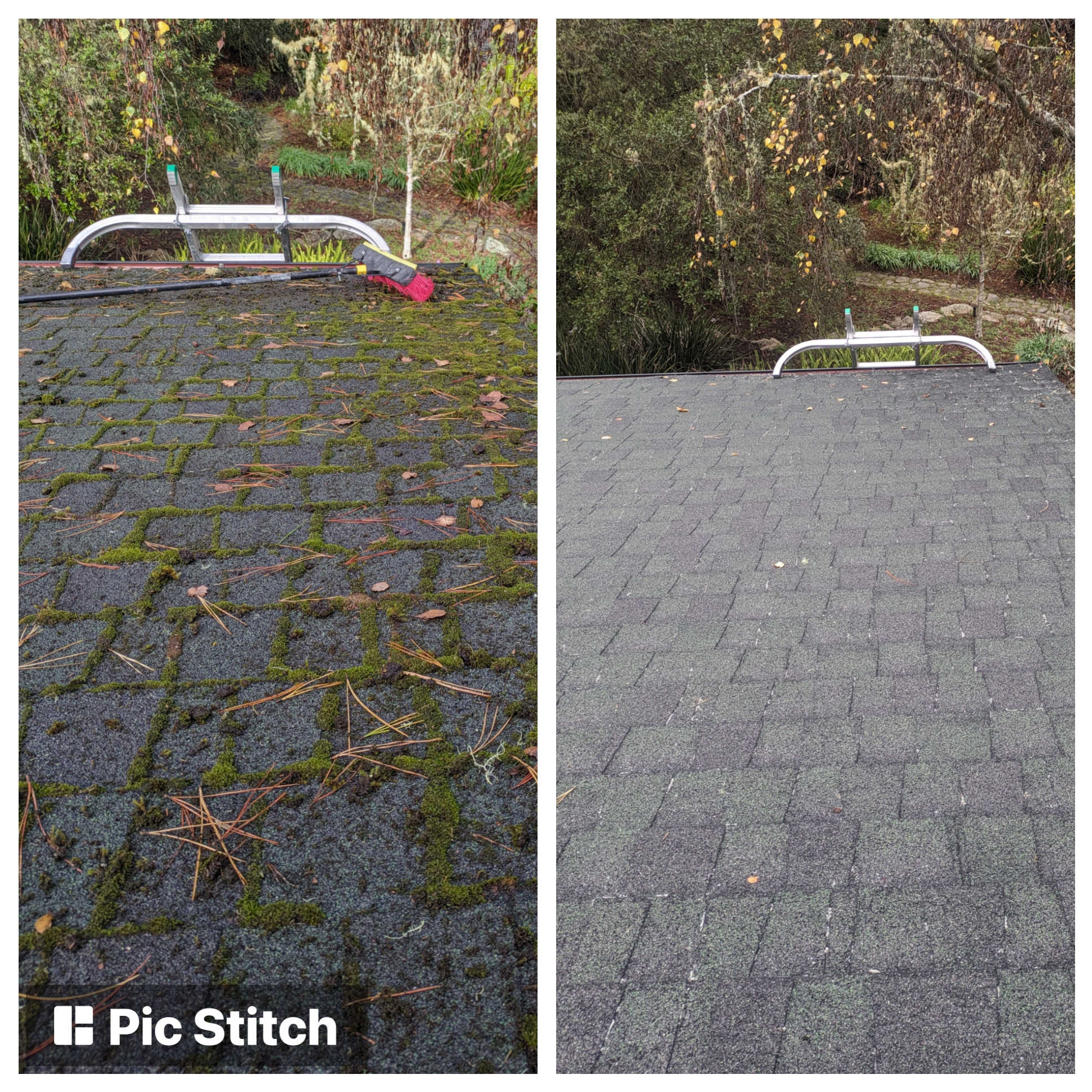 Exceptional Roof Cleaning in Pebble Beach, California